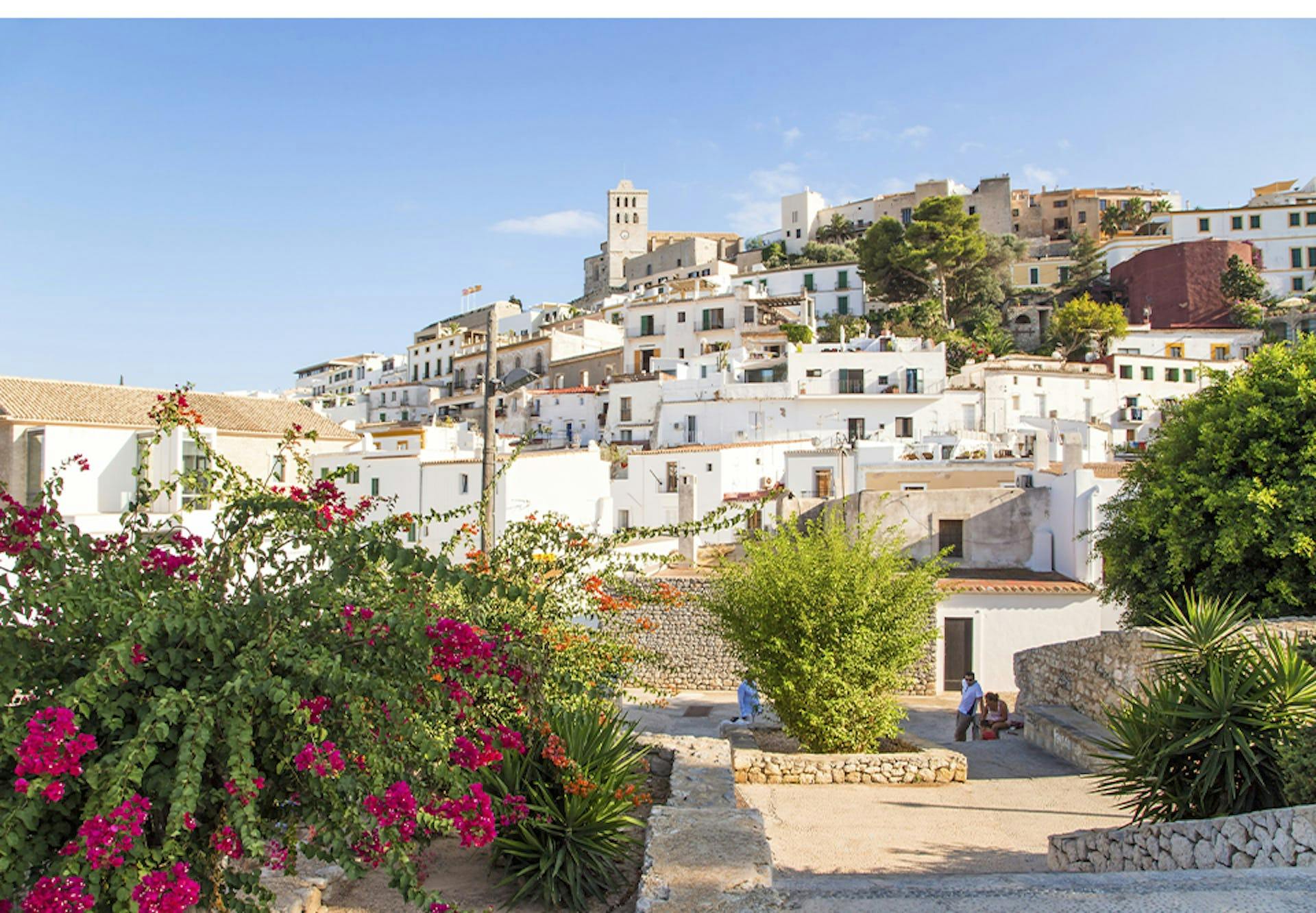 aa zvt7xukhzqag0cjxqww56a NmCEd0quPLE I ibiza gamleby